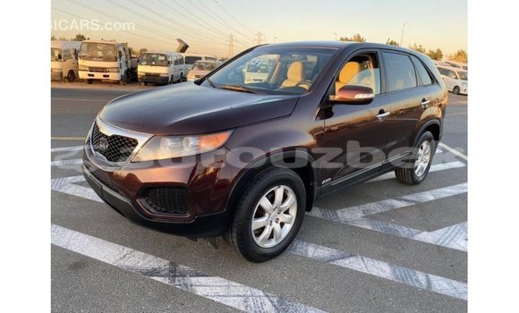 Buy Import Kia Sorento Brown Car in Import - Dubai in Andijon Buy Import Kia Sorento Brown Car in Import - Dubai in Andijon