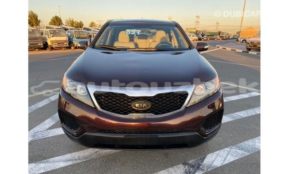 Buy Import Kia Sorento Brown Car in Import - Dubai in Andijon Buy Import Kia Sorento Brown Car in Import - Dubai in Andijon