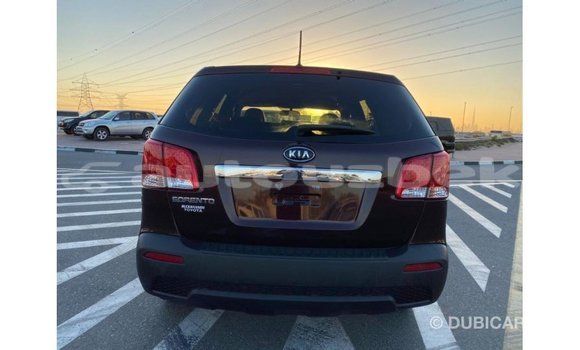 Buy Import Kia Sorento Brown Car in Import - Dubai in Andijon Buy Import Kia Sorento Brown Car in Import - Dubai in Andijon