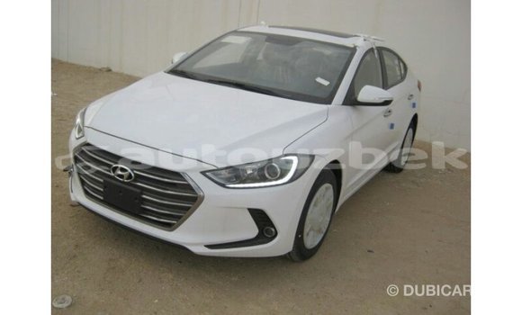 Buy Import Hyundai Elantra White Car in Import - Dubai in Andijon Buy Import Hyundai Elantra White Car in Import - Dubai in Andijon
