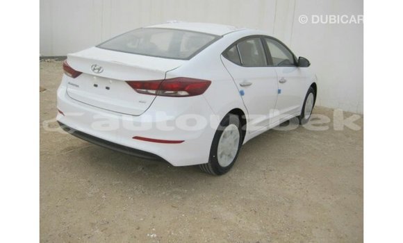 Buy Import Hyundai Elantra White Car in Import - Dubai in Andijon Buy Import Hyundai Elantra White Car in Import - Dubai in Andijon