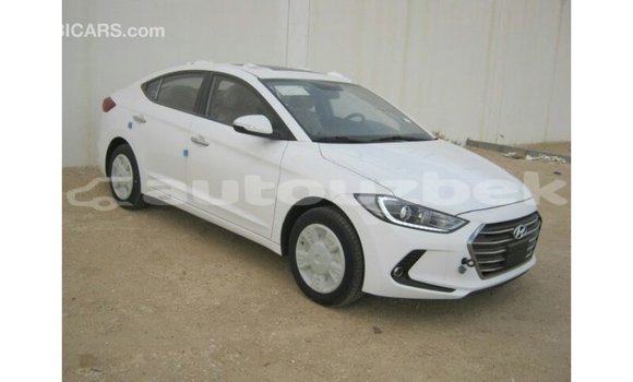 Buy Import Hyundai Elantra White Car in Import - Dubai in Andijon Buy Import Hyundai Elantra White Car in Import - Dubai in Andijon