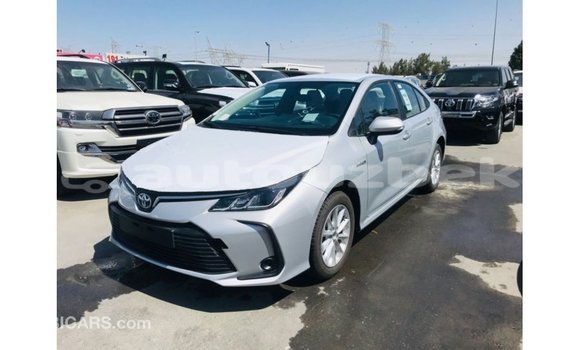 Buy Import Toyota Corolla White Car in Import - Dubai in Andijon Buy Import Toyota Corolla White Car in Import - Dubai in Andijon