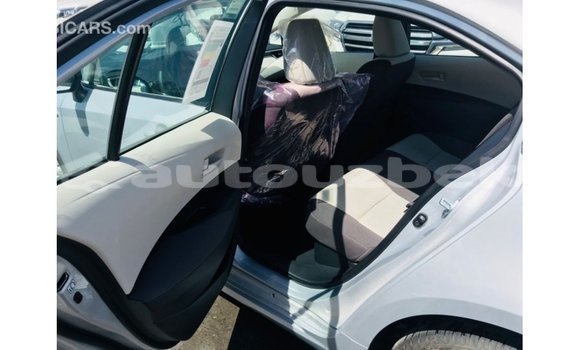 Buy Import Toyota Corolla White Car in Import - Dubai in Andijon Buy Import Toyota Corolla White Car in Import - Dubai in Andijon