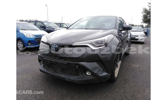 Buy Import Toyota C-HR Other Car in Import - Dubai in Andijon Buy Import Toyota C-HR Other Car in Import - Dubai in Andijon