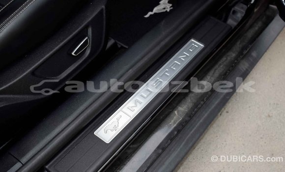 Buy Import Ford Mustang Black Car in Import - Dubai in Andijon Buy Import Ford Mustang Black Car in Import - Dubai in Andijon
