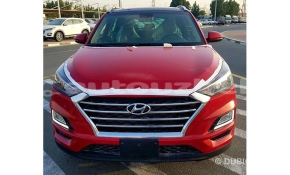 Buy Import Hyundai Tucson Red Car in Import - Dubai in Andijon Buy Import Hyundai Tucson Red Car in Import - Dubai in Andijon