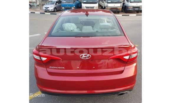 Buy Import Hyundai Sonata Red Car in Import - Dubai in Andijon Buy Import Hyundai Sonata Red Car in Import - Dubai in Andijon
