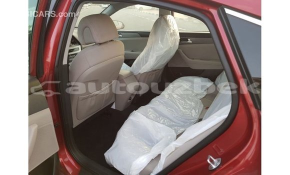 Buy Import Hyundai Sonata Red Car in Import - Dubai in Andijon Buy Import Hyundai Sonata Red Car in Import - Dubai in Andijon