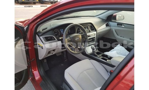 Buy Import Hyundai Sonata Red Car in Import - Dubai in Andijon Buy Import Hyundai Sonata Red Car in Import - Dubai in Andijon