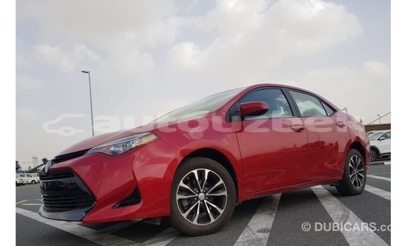 Buy Import Toyota Corolla Red Car in Import - Dubai in Andijon Buy Import Toyota Corolla Red Car in Import - Dubai in Andijon