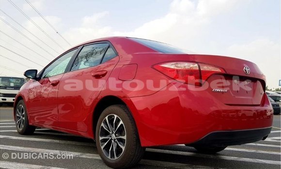 Buy Import Toyota Corolla Red Car in Import - Dubai in Andijon Buy Import Toyota Corolla Red Car in Import - Dubai in Andijon