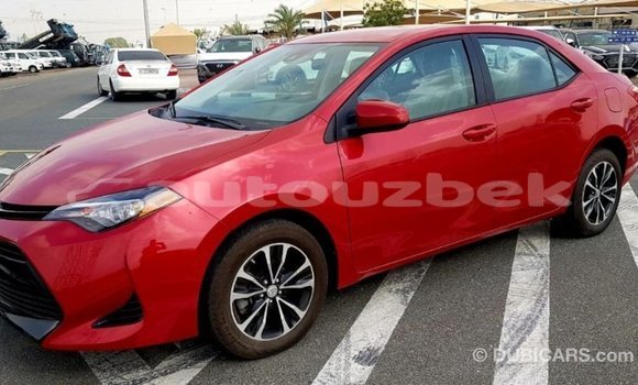 Buy Import Toyota Corolla Red Car in Import - Dubai in Andijon Buy Import Toyota Corolla Red Car in Import - Dubai in Andijon