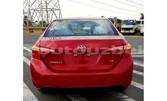 Buy Import Toyota Corolla Red Car in Import - Dubai in Andijon Buy Import Toyota Corolla Red Car in Import - Dubai in Andijon