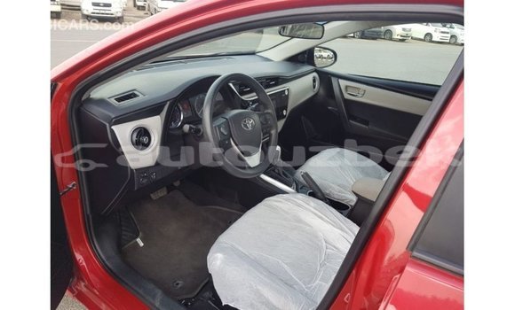 Buy Import Toyota Corolla Red Car in Import - Dubai in Andijon Buy Import Toyota Corolla Red Car in Import - Dubai in Andijon