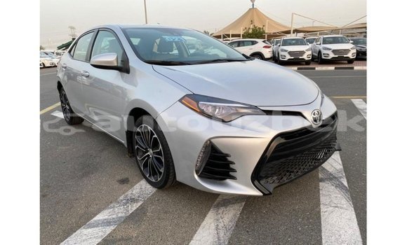 Buy Import Toyota Corolla Other Car in Import - Dubai in Andijon Buy Import Toyota Corolla Other Car in Import - Dubai in Andijon