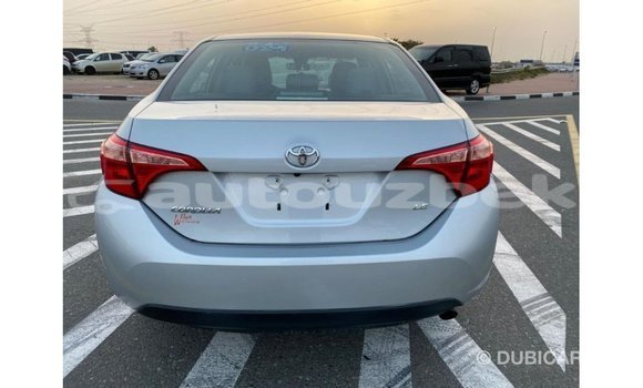 Buy Import Toyota Corolla Other Car in Import - Dubai in Andijon Buy Import Toyota Corolla Other Car in Import - Dubai in Andijon