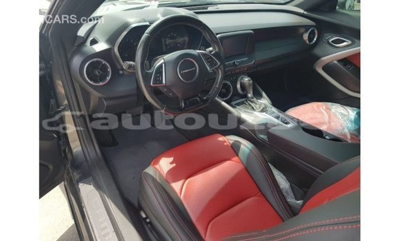 Buy Import Chevrolet Camaro Other Car in Import - Dubai in Andijon Buy Import Chevrolet Camaro Other Car in Import - Dubai in Andijon