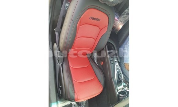 Buy Import Chevrolet Camaro Other Car in Import - Dubai in Andijon Buy Import Chevrolet Camaro Other Car in Import - Dubai in Andijon