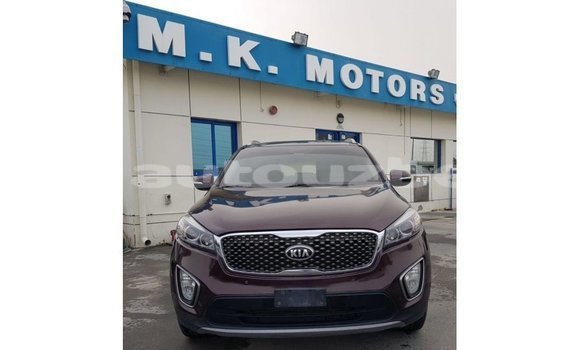 Buy Import Kia Sorento Red Car in Import - Dubai in Andijon Buy Import Kia Sorento Red Car in Import - Dubai in Andijon