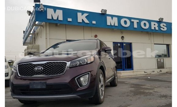 Buy Import Kia Sorento Red Car in Import - Dubai in Andijon Buy Import Kia Sorento Red Car in Import - Dubai in Andijon