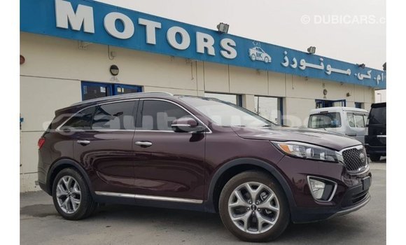 Buy Import Kia Sorento Red Car in Import - Dubai in Andijon Buy Import Kia Sorento Red Car in Import - Dubai in Andijon
