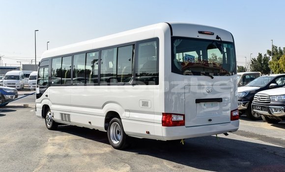 Buy Import Toyota Coaster White Car in Import - Dubai in Andijon Buy Import Toyota Coaster White Car in Import - Dubai in Andijon