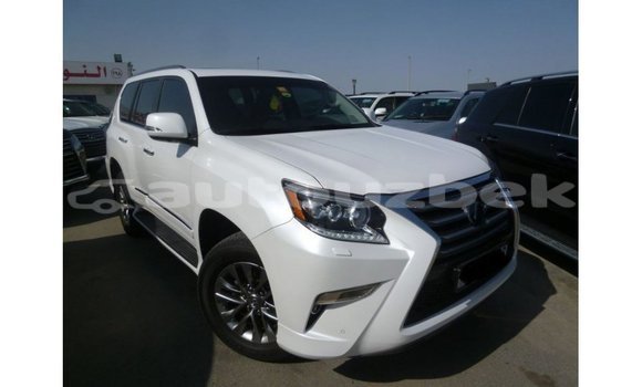 Buy Import Lexus GX White Car in Import - Dubai in Andijon Buy Import Lexus GX White Car in Import - Dubai in Andijon