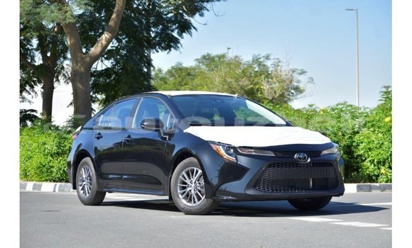 Medium with watermark toyota corolla andijon import dubai 3133