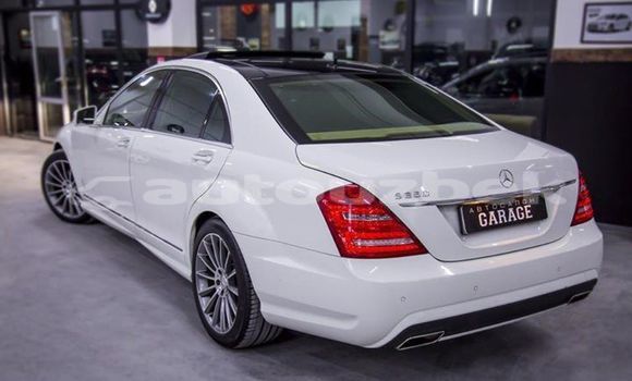Buy Used Mercedes-Benz S-klasse White Car in Tashkent in Toskent Buy Used Mercedes-Benz S-klasse White Car in Tashkent in Toskent