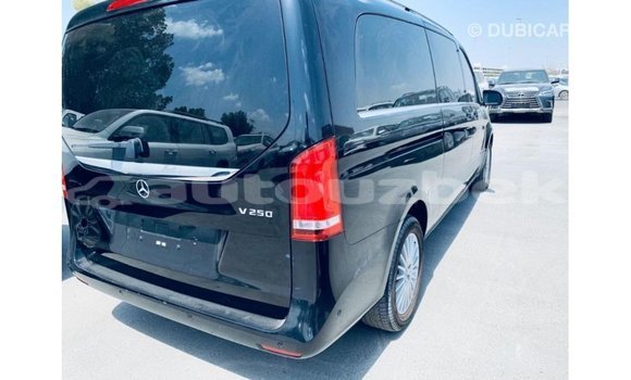 Buy Import Mercedes-Benz 250 Black Car in Import - Dubai in Andijon Buy Import Mercedes-Benz 250 Black Car in Import - Dubai in Andijon