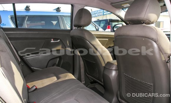 Buy Import Kia Sportage Brown Car in Import - Dubai in Andijon Buy Import Kia Sportage Brown Car in Import - Dubai in Andijon