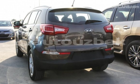 Buy Import Kia Sportage Brown Car in Import - Dubai in Andijon Buy Import Kia Sportage Brown Car in Import - Dubai in Andijon