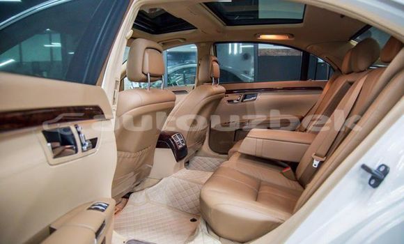 Buy Used Mercedes-Benz S-klasse White Car in Tashkent in Toskent Buy Used Mercedes-Benz S-klasse White Car in Tashkent in Toskent