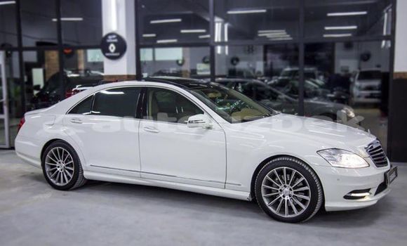 Buy Used Mercedes-Benz S-klasse White Car in Tashkent in Toskent Buy Used Mercedes-Benz S-klasse White Car in Tashkent in Toskent