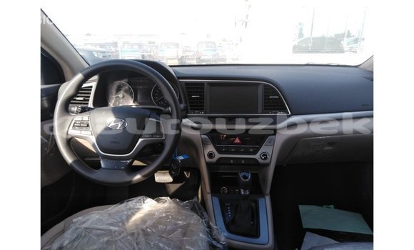 Buy Import Hyundai Elantra Other Car in Import - Dubai in Andijon Buy Import Hyundai Elantra Other Car in Import - Dubai in Andijon