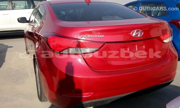 Buy Import Hyundai Elantra Red Car in Import - Dubai in Andijon Buy Import Hyundai Elantra Red Car in Import - Dubai in Andijon