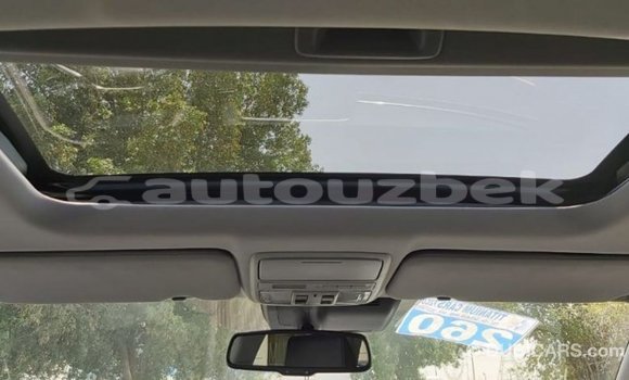 Buy Import Honda C Other Bike in Import - Dubai in Andijon Buy Import Honda C Other Bike in Import - Dubai in Andijon