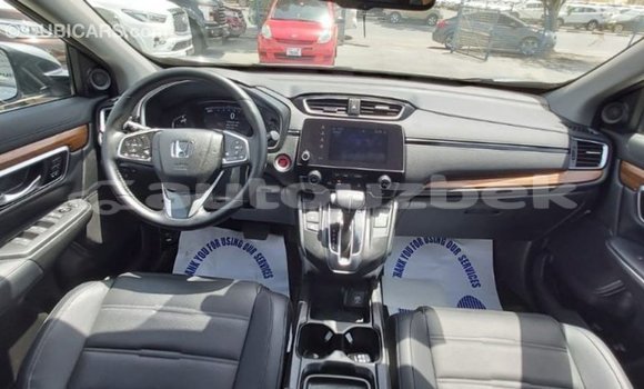 Buy Import Honda C Other Bike in Import - Dubai in Andijon Buy Import Honda C Other Bike in Import - Dubai in Andijon