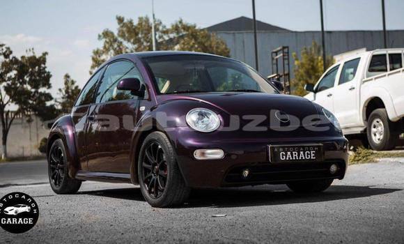 Buy Used Volkswagen Beetle Other Car in Tashkent in Toskent