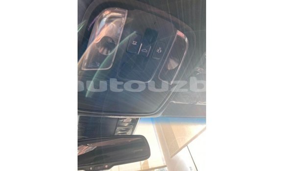 Buy Import Kia Stinger Red Car in Import - Dubai in Andijon Buy Import Kia Stinger Red Car in Import - Dubai in Andijon