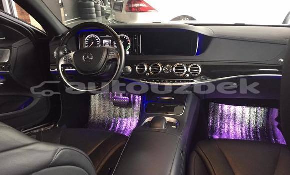 Buy Used Mercedes-Benz S-klasse Black Car in Tashkent in Toskent Buy Used Mercedes-Benz S-klasse Black Car in Tashkent in Toskent