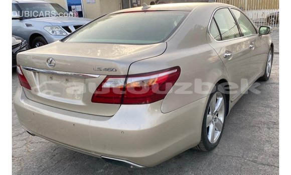 Buy Import Lexus LS Other Car in Import - Dubai in Andijon Buy Import Lexus LS Other Car in Import - Dubai in Andijon