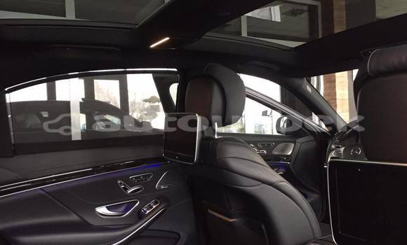 Buy Used Mercedes-Benz S-klasse Black Car in Tashkent in Toskent Buy Used Mercedes-Benz S-klasse Black Car in Tashkent in Toskent