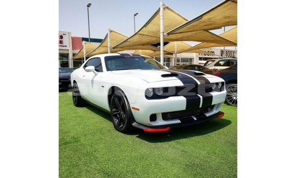 Buy Import Dodge Challenger White Car in Import - Dubai in Andijon