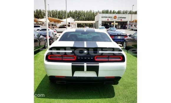 Buy Import Dodge Challenger White Car in Import - Dubai in Andijon Buy Import Dodge Challenger White Car in Import - Dubai in Andijon