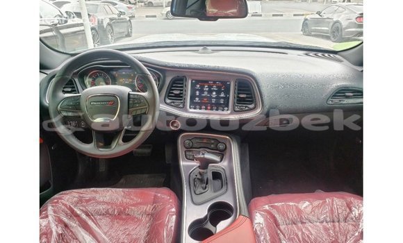 Buy Import Dodge Challenger White Car in Import - Dubai in Andijon Buy Import Dodge Challenger White Car in Import - Dubai in Andijon