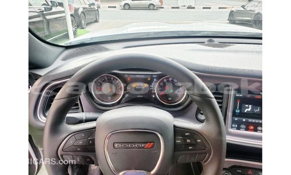 Buy Import Dodge Challenger White Car in Import - Dubai in Andijon Buy Import Dodge Challenger White Car in Import - Dubai in Andijon