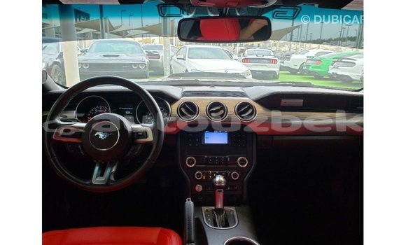 Buy Import Ford Mustang Blue Car in Import - Dubai in Andijon Buy Import Ford Mustang Blue Car in Import - Dubai in Andijon