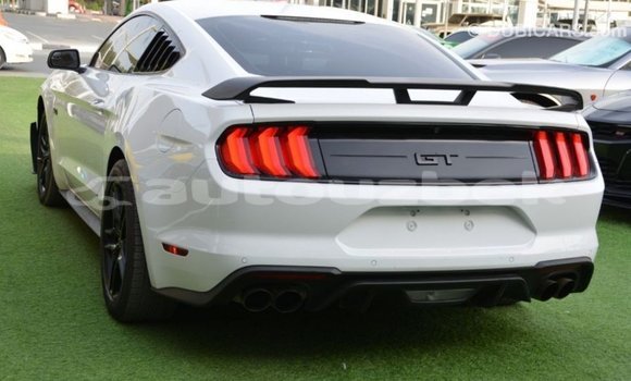 Buy Import Ford Mustang White Car in Import - Dubai in Andijon Buy Import Ford Mustang White Car in Import - Dubai in Andijon